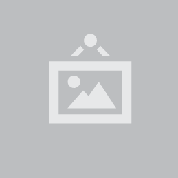 Ryobi Spare Parts